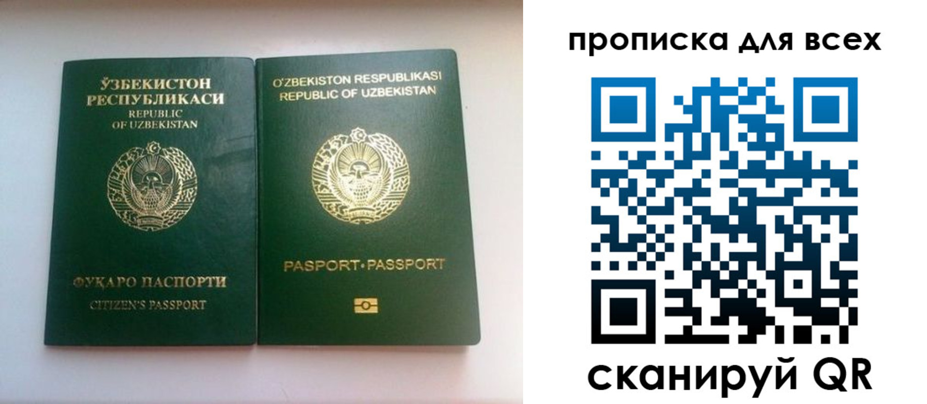 прописка для школы в Называевске